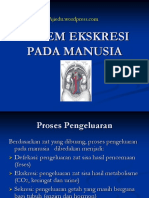 Sistem Ekskresi Pada Manusia