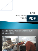 (Benign Prostatic Hyperplasia) Oleh: Dr. Maulina Sari Puskesmas Arjasari