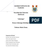 Liderazgo Estratégico Ensayo