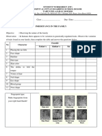 Student Worksheet (SW) SMP It Al Fityan Boarding School Bogor TAHUN PELAJARAN 2019/2020