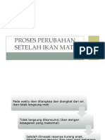 Proses Perubahan Setelah Ikan Mati