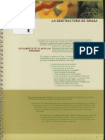 Plan de Nutricion Fase 1.pdf