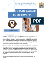 Cultura de Calidad en Enfermeia PDF