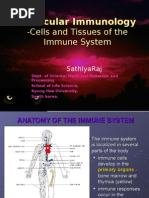 Download Cells and Tissues of the Immune System by Sathiyaraj SN427651 doc pdf