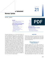 Evaluation of The Autonomic Nervous System: Anatomy