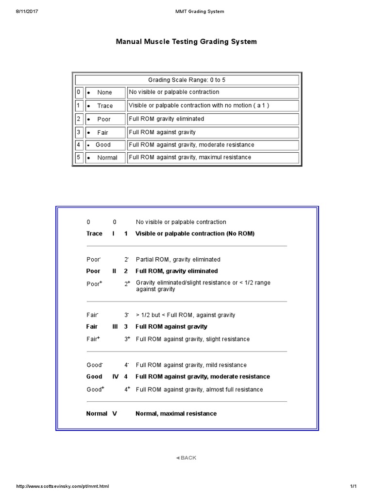 Manual Muscle Testing Grading System | PDF