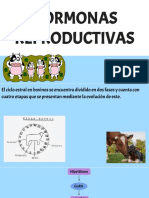 Hormonas Reproductivas