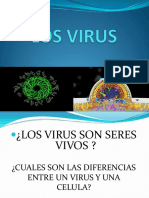 Clase 7 - Virus