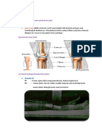 Knee Joint