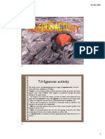 7.0 Igneous Activity