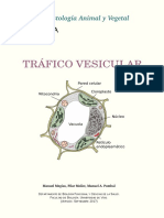 Atlas Celula 05 Trafico