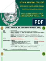 Informe Final de La PNP Sobre Doble Asesinato Descuartizamiento - Caso SMP - Venecos