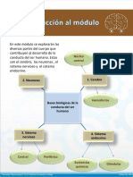 1.1 Diagramas de Bases Biológicas