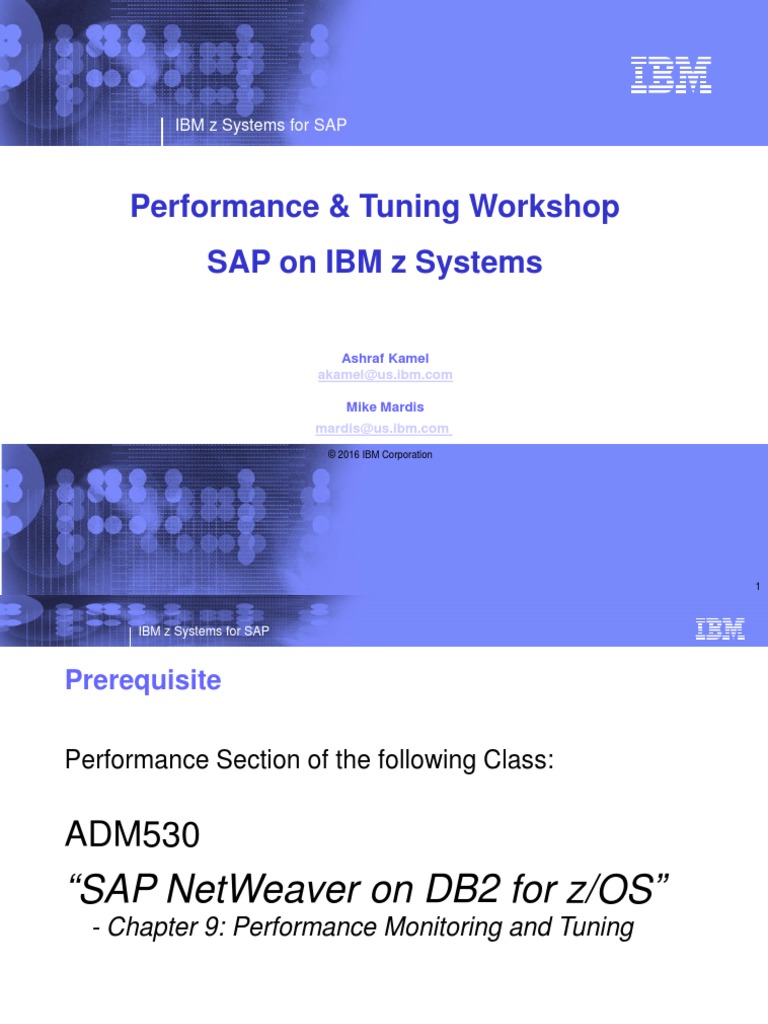 SAP For System Z Performance and Tuning Workshop-Abbreviated | PDF ...