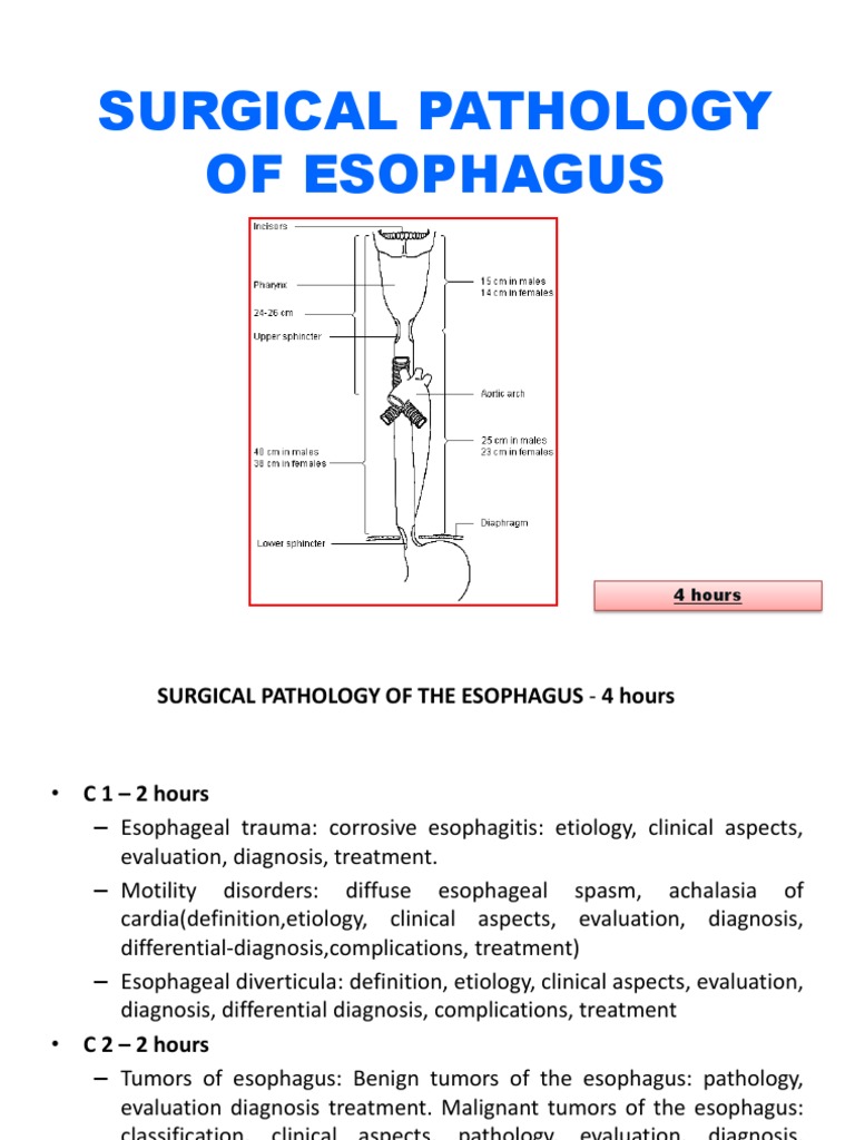 Esophageal Perforation: Surgical Pathology | PDF | Esophagus | Thorax