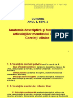 curs_12_anIsem1_MG .ppt