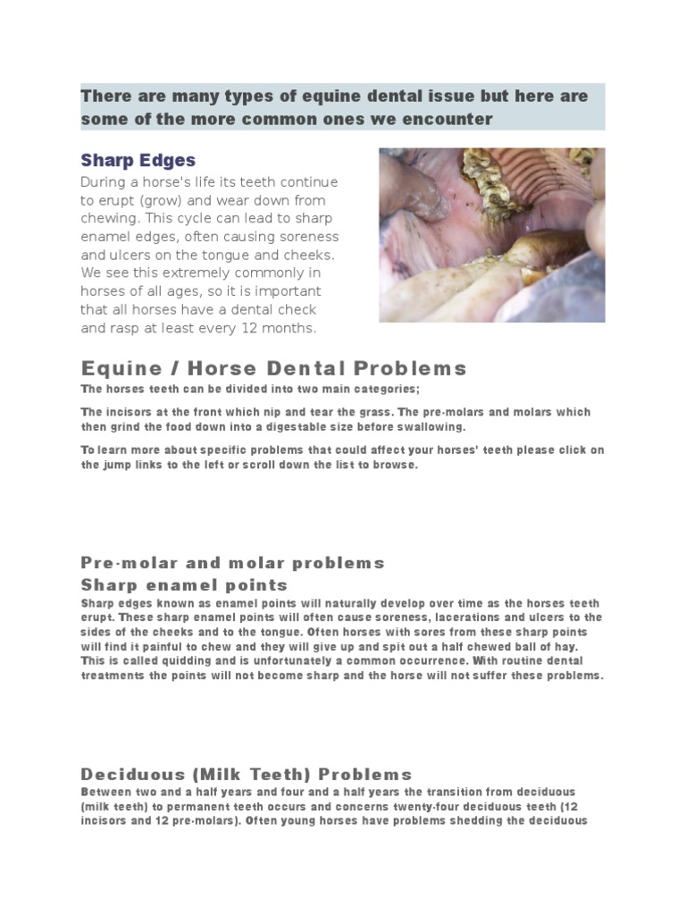 Equine / Horse Dental Problems Sharp Edges PDF Tooth Human Tooth