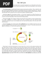 Download The Cell Cycle  Apoptosis by Sathiyaraj SN427688 doc pdf