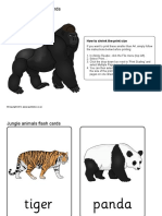 jungle animals.pdf