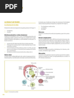Coloracion Field Hemoparasitos | PDF