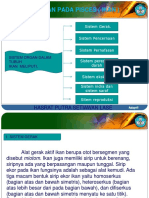 Organ Dan Sistem Organ Hewan