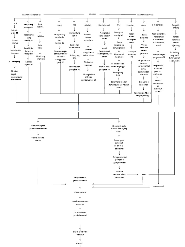 Etiologi Stroke Hemoragik dan Non-Hemoragik | PDF