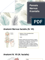 Paresis Nervus Cranialis