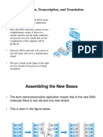 2 Pres Replication, Transcription, and Translation Imp