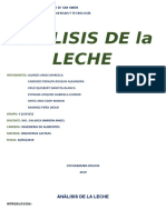 Informe Analisis de La Leche