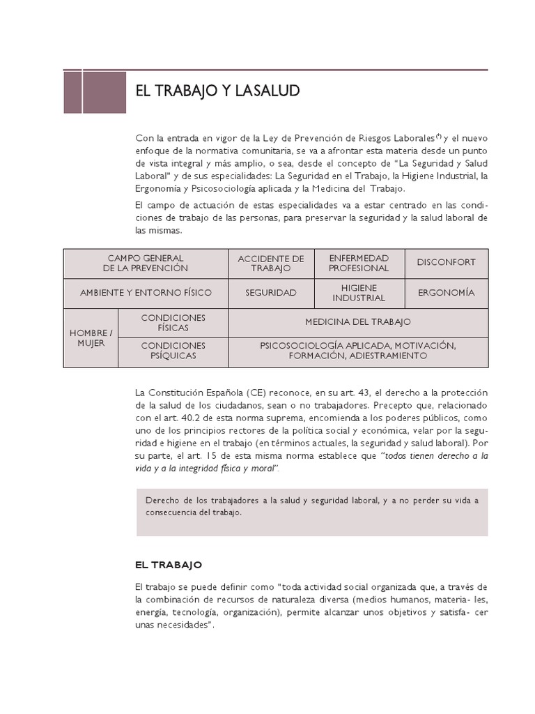 Prevención de Riesgos Laborales | PDF | Seguridad y salud ocupacional ...
