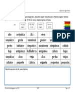 Adjectives and Agreement