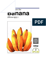 Descriptor For Banana