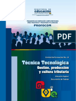 Técnica - Tecnológica 2 PDF