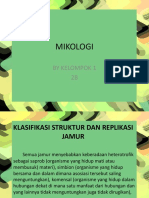 KLASIFIKASI JAMUR