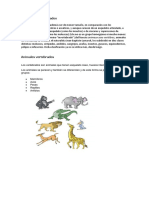 Animales invertebrados.docx