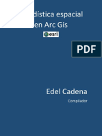 Estadística Espacial en Arc Gis PDF