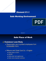 Element C1.1 Safe Working Environment