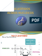 Nucleotidos y Acidos Nucleicos
