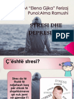 Stresi Dhe Depresioni