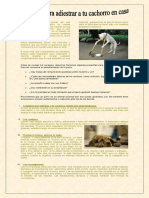 Examen 9no B PDF