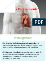 Sistema Cardiovascular