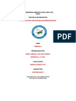 Esquematización de Los Métodos de Registros de Las Inversiones en Las Empresas Subsidiarias