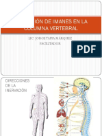 aplicacion-de-imanes-en-la-columna-vertebral.pdf