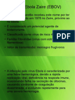 VIRUS EBOLA.pdf
