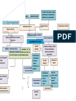 Mapa Conceptual