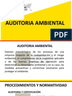 Auditoria Ambiental PDF