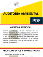 auditoria ambiental.pdf