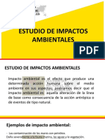 Estudio de Impacto Ambinetal PDF