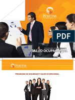 Programa de Seguridad y Salud Ocupacional