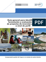 GIA GENERAL DE PROYECTO DE INVERSION PUBLICA.pdf